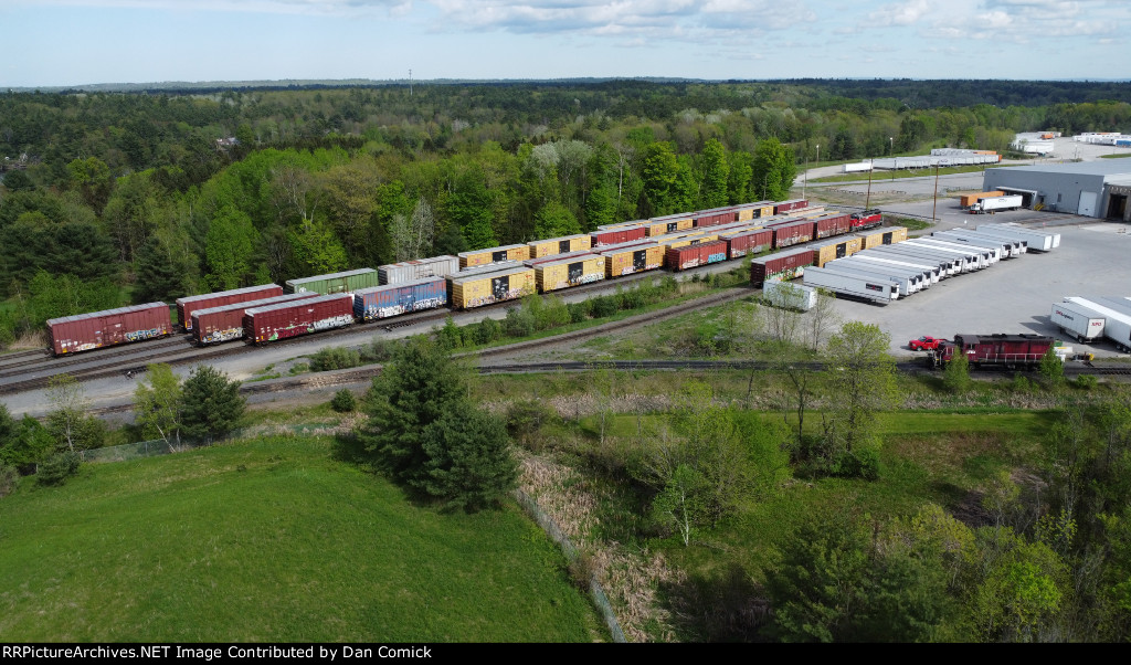 LTEX 1585 & LTEX 3902 at Sappi